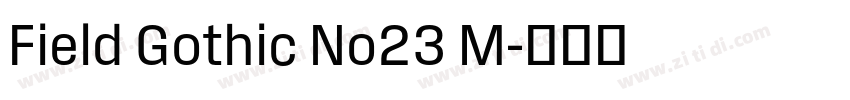 Field Gothic No23 M字体转换 Field Gothic No23 M字体转换